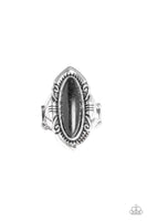 Paparazzi Santa Fe Serenity - Black Ring