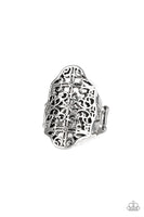 Paparazzi Botanical Beam - Silver Ring