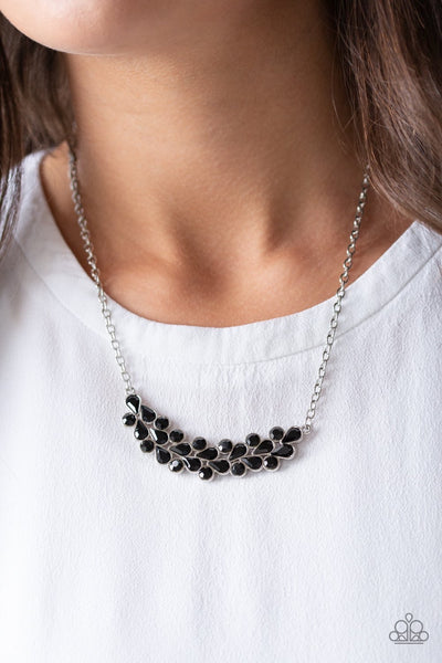 Paparazzi Special Treatment - Black Necklace